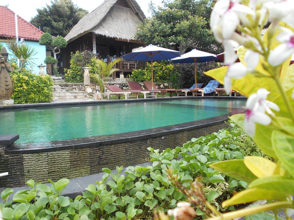 ホテル ザ ダフィッシュ セニンガン Ceningan Island エクステリア 写真